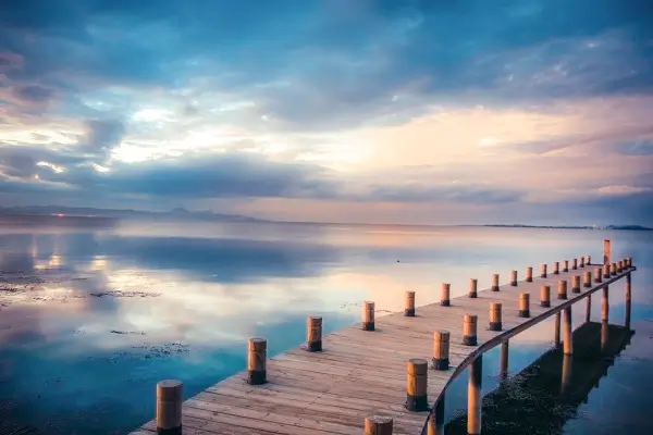 数播科技公司介绍