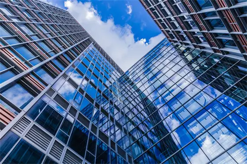 公司新人介绍真烦